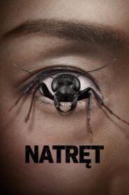 Natręt • Obejrzyj Cały Film Online Już Teraz!