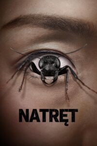 Natręt • Obejrzyj Cały Film Online Już Teraz!