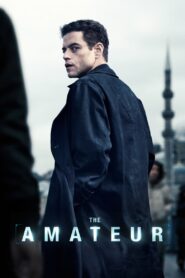 Amator • Obejrzyj Cały Film Online Już Teraz!