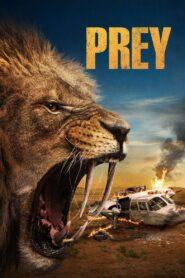 Zdobycz • Obejrzyj Cały Film Online Już Teraz!