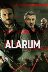 Alarum • Obejrzyj Cały Film Online Już Teraz!