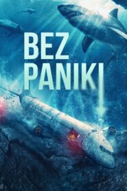 Bez paniki • Obejrzyj Cały Film Online Już Teraz!