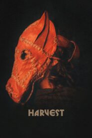 Żniwa • Obejrzyj Cały Film Online Już Teraz!