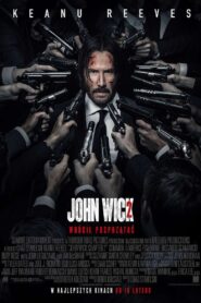 John Wick 2 • Obejrzyj Cały Film Online Już Teraz!