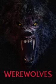 Wilkołaki • Obejrzyj Cały Film Online Już Teraz!