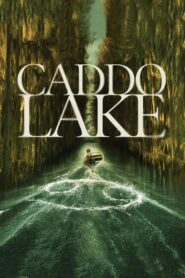 Caddo Lake • Obejrzyj Cały Film Online Już Teraz!