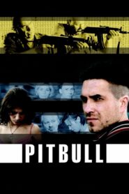 Pitbull • Obejrzyj Cały Serial Online Już Teraz!