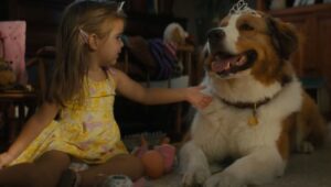 Był sobie pies 2 to lekka przesada, czy jednak udana kontynuacja?