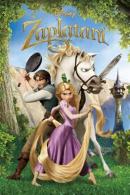 Zaplątani • Obejrzyj Cały Film Online Już Teraz!