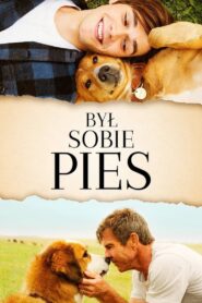 Był Sobie Pies • Obejrzyj Cały Film Online Już Teraz!