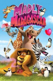 Zakochany Madagaskar • Obejrzyj Cały Film Online Już Teraz!