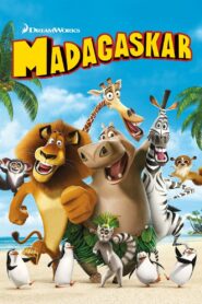 Madagaskar • Obejrzyj Cały Film Online Już Teraz!