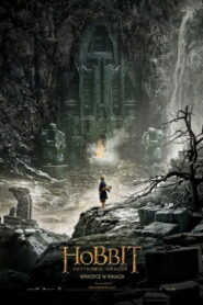 Hobbit: Pustkowie Smauga • Obejrzyj Cały Film Online Już Teraz!