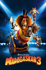 Madagaskar 3 • Obejrzyj Cały Film Online Już Teraz!