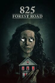 Klątwa Forest Road • Obejrzyj Cały Film Online Już Teraz!