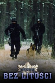 Sfora: Bez litości • Obejrzyj Cały Film Online Już Teraz!