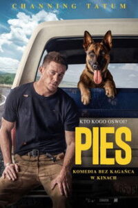 Pies • Obejrzyj Cały Film Online Już Teraz!