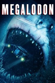 Megalodon • Obejrzyj Cały Film Online Już Teraz!