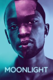 Moonlight • Obejrzyj Cały Film Online Już Teraz!