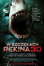 W szczękach rekina • Obejrzyj Cały Film Online Już Teraz!