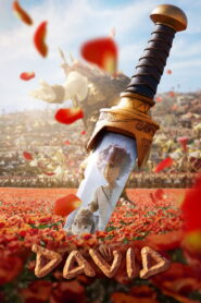 David • Obejrzyj Cały Film Online Już Teraz!